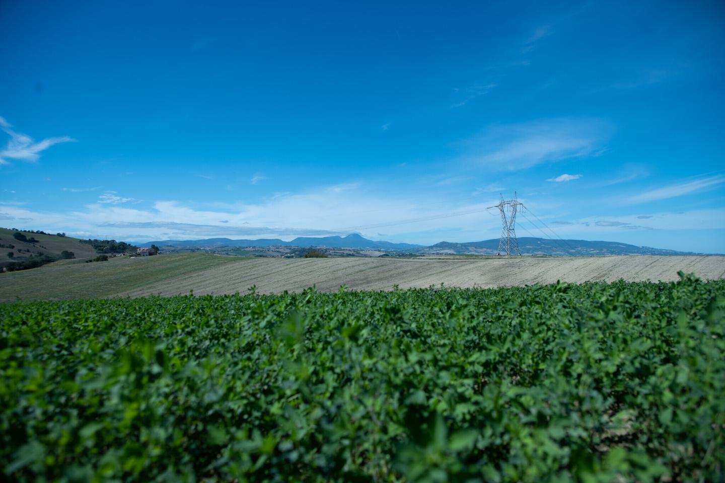 Sostenibilità