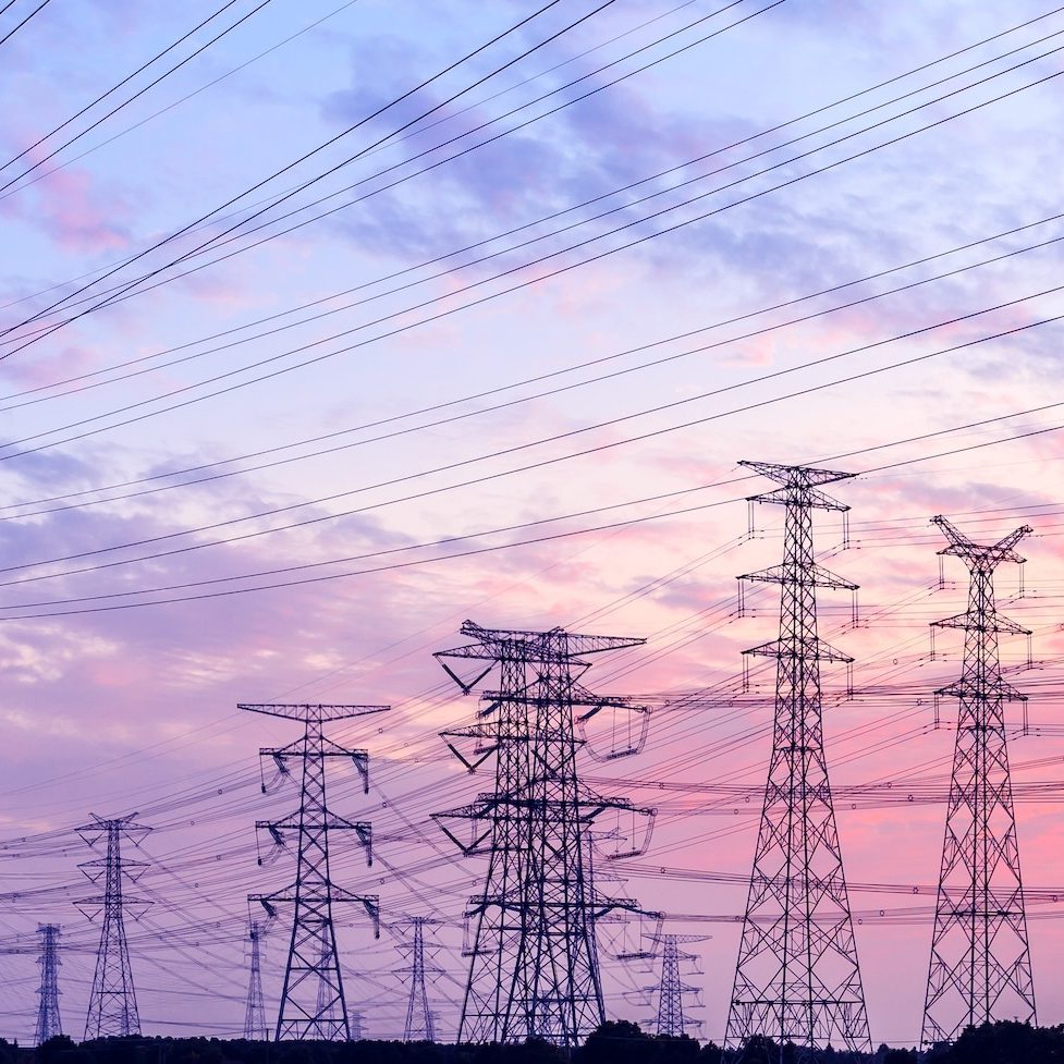 Shutterstock 1230224203